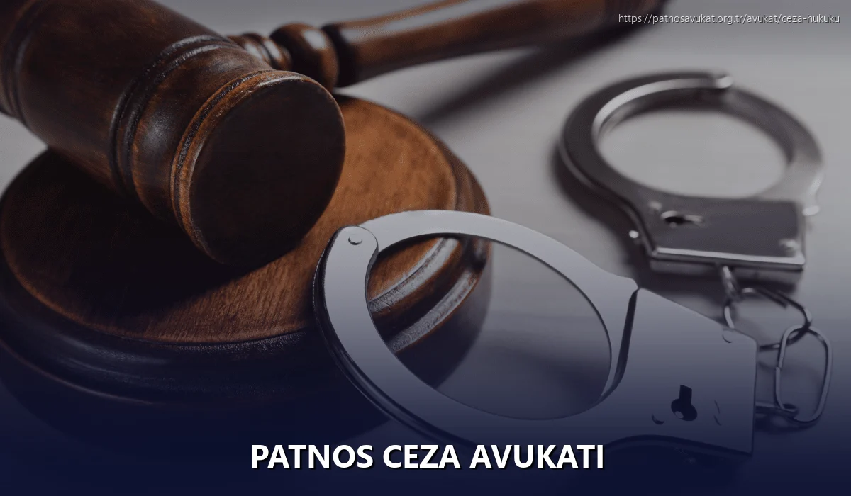 Patnos Ceza Avukatı